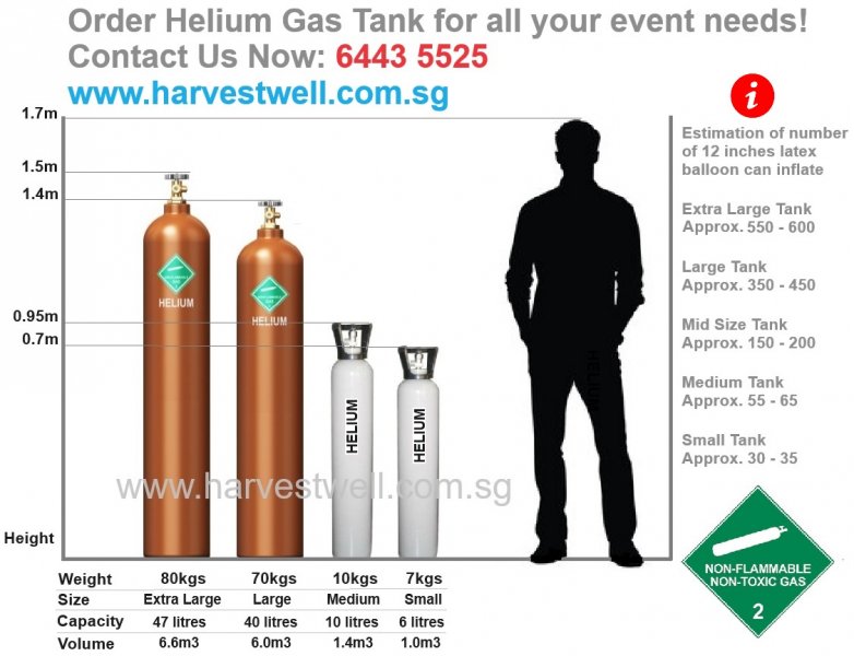 [6 Litres] Small Helium Gas Tank Store Pickup